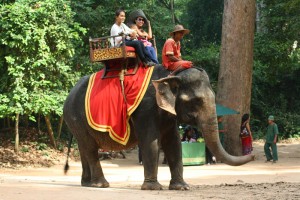 Olifant rijden bij Angkor