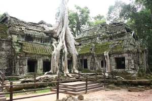Bezienswaardigheden in Siem Reap - Ta Phrom tempel